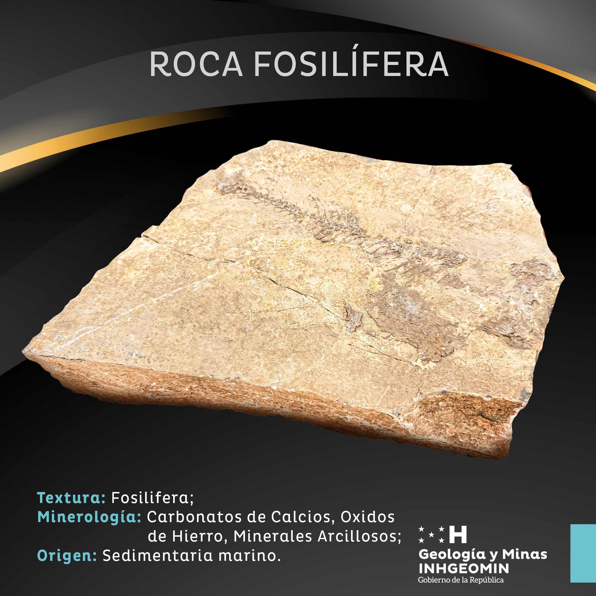 Roca Fosilífera